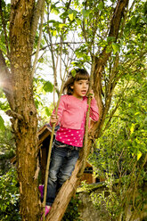 Portrait of little girl climbing in a tree - LVF004870