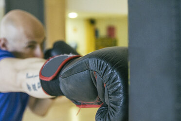 Boxer hitting a punchbag - ABZF000481