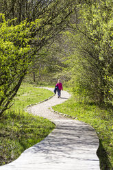 Back view of little girl walking in nature - JFEF000787