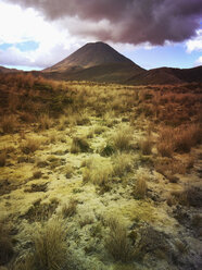 Neuseeland, Nordinsel, Tongariro National Parc, Mount Ngauruhoe, Naturschutzgebiet (der Nationalpark ist ein touristisches Highlight) - GWF004699