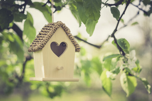 Birdhouse hanging on apple tree - ASCF000588