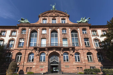 Deutschland, Frankfurt, Senckenberg Museum - FCF000947