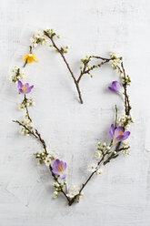 Heart of twigs, wild plum and crocus - MYF001479