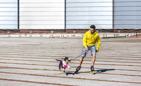 Inline-skater playing with his bull terrier stock photo