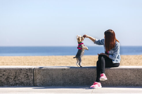 Junge Frau spielt mit ihrem Yorkshire Terrier - MGOF001838