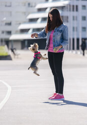 Young woman playing with her Yorkshire Terrier - MGOF001839