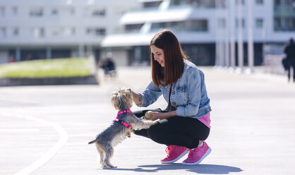 Junge Frau spielt mit ihrem Yorkshire Terrier - MGOF001840