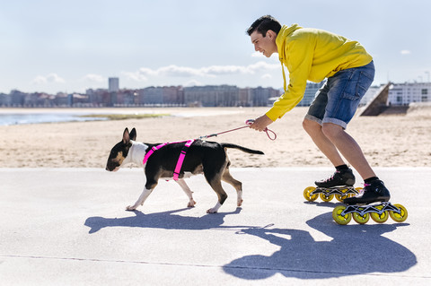 Inline-Skater mit seinem Bullterrier, lizenzfreies Stockfoto