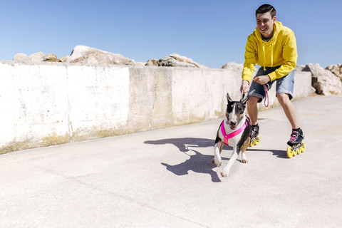 Inline-skater with his bull terrier stock photo