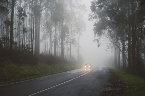 Spain, Galicia, Ferrol, Road in a forest with fog, on the road runs a car with lights stock photo