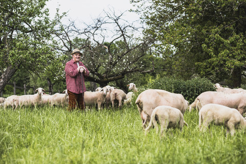 Hirte mit Schafherde auf der Weide, lizenzfreies Stockfoto