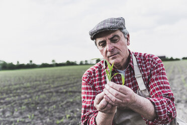 Landwirt auf einem Feld bei der Prüfung der Ernte - UUF007326