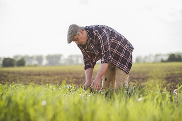 Farmer working in a field - UUF007354