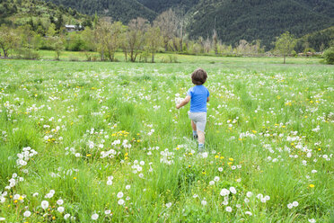 Kleiner Junge mit Löwenzahn auf der Wiese - VABF000502