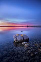 Deutschland, Breitbrunn, Ammersee, Stein mit Blättern bei Sonnenuntergang - MBOF000033