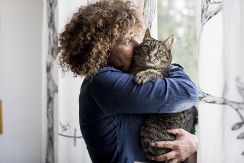 Woman cuddling with cat by the window stock photo