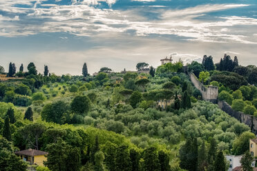 Italy, Tuscany, Florence, View over park Giardino delle rose and historic city wall - CSTF001084