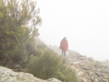 Spain, Sierra de Gredos, man hiking in fog - LAF001635