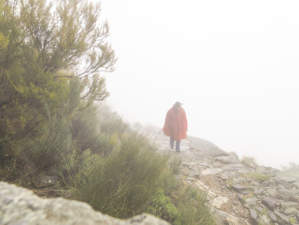 Spanien, Sierra de Gredos, Mann beim Wandern im Nebel - LAF001635