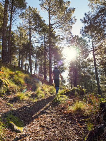 Spanien, Sierra de Gredos, Mann beim Wandern im Wald, lizenzfreies Stockfoto