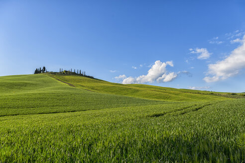 Italien, Toskana, Val d'Orcia, Bauernhaus und Felder im Frühling - LOMF000270