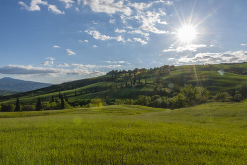 Italien, Toskana, Val d'Orcia, Blick auf Felder und Landschaft im Frühling - LOMF000271