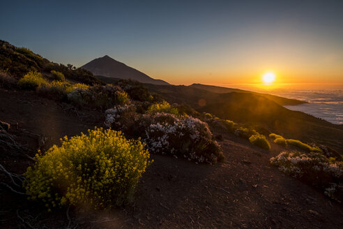 Spanien, Teneriffa, unbefestigter Weg in der Region Pico del Teide - SIPF000504