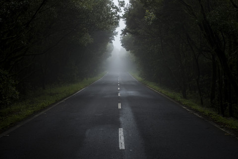 Leere Landstraße im Nebel, lizenzfreies Stockfoto