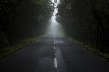 Empty country road in the fog - SIPF000507
