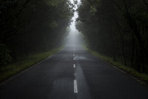 Leere Landstraße im Nebel - SIPF000507