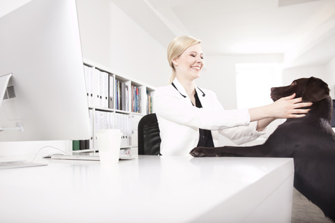 Geschäftsfrau mit ihrem Labrador Retriever im Büro, lizenzfreies Stockfoto