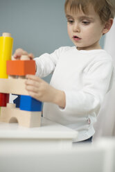 Little boy playing with building blocks - LFOF000237