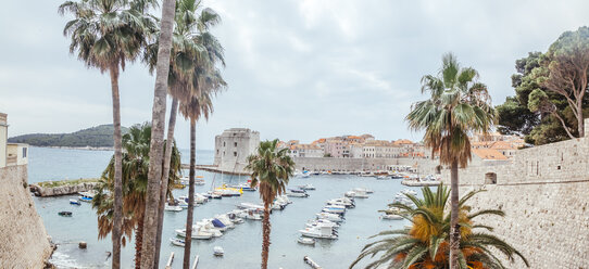 Kroatien, Dubrovnik, Blick auf den alten Hafen - ZEDF000159