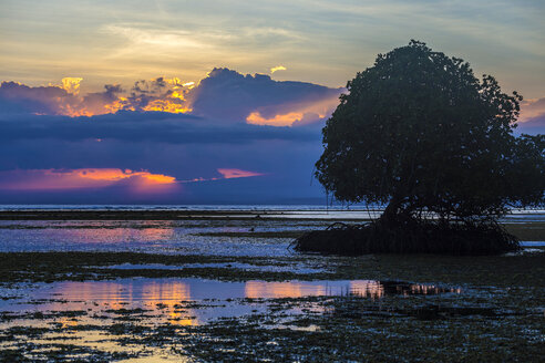 Indonesien, Insel Sumbawa bei Sonnenuntergang - KNTF000286