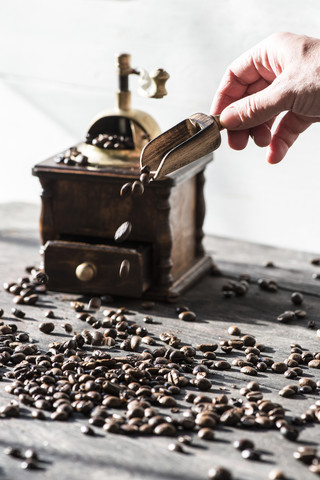 Mahlen von Kaffee mit einer alten Kaffeemühle, lizenzfreies Stockfoto