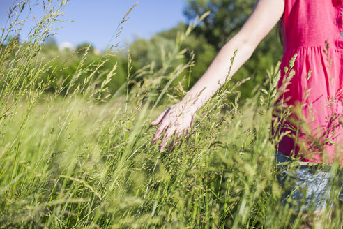 Hand eines Teenagers, der Gräser auf einer Wiese berührt - MRAF000049