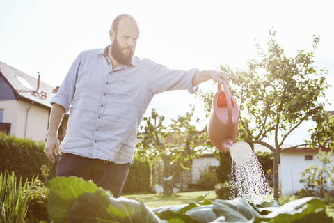 Junger Mann arbeitet im Garten, Bewässerung mit Gießkanne, lizenzfreies Stockfoto