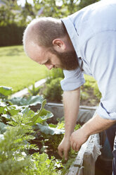 Junger Mann arbeitet im Garten - SEGF000556