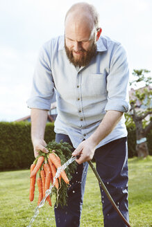Young man working in garden, bunch of carrots, cleaning with water - SEGF000562