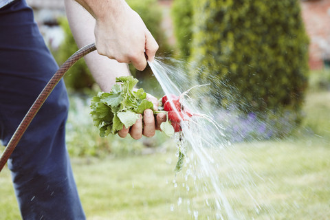 Junger Mann arbeitet im Garten, lizenzfreies Stockfoto