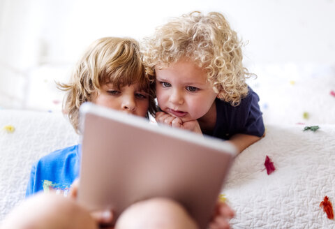 Zwei kleine Brüder benutzen ein Tablet zu Hause - MGOF001902