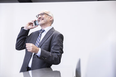Mature businessman talking on the phone - FMKF002674