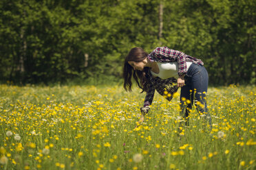 Frau auf einer Wiese beim Blumenpflücken - OPF000113