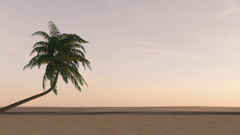 Palm tree on the beach at dusk, 3D rendering stock photo