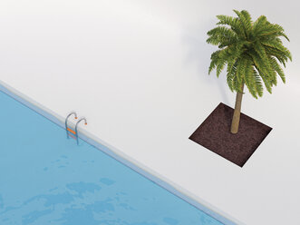 Palme am Schwimmbad, 3D-Rendering - UWF000890