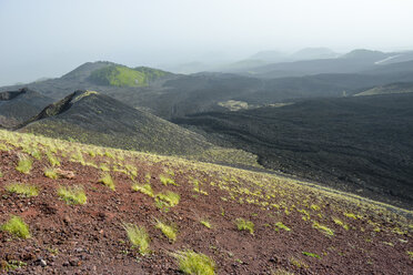 Italien, Sizilien, Ätna, Vulkankrater, Lavafelder - RJF000593