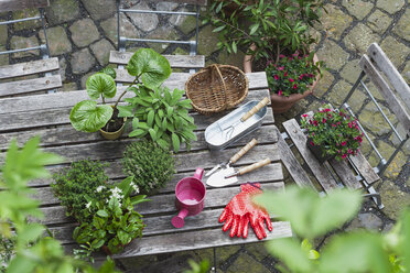 Gartenarbeit, verschiedene Heil- und Küchenkräuter und Gartengeräte auf dem Gartentisch - GWF004708