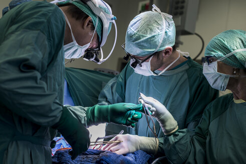 Herzchirurgen und OP-Schwester während einer Herzklappenoperation - MWEF000054