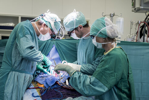 Herzchirurgen und OP-Schwester während einer Herzklappenoperation - MWEF000055