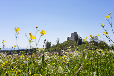 Deutschland, Oberschwaben, Schloss Waldburg - SIE007022